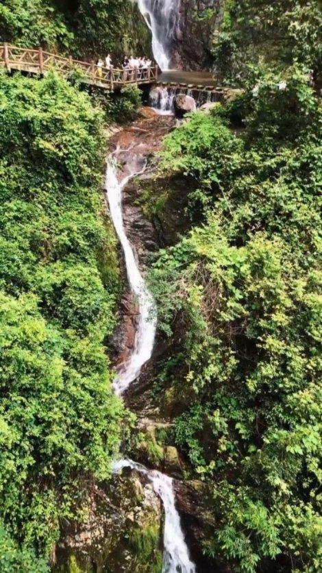 神经官能症、神经紊乱,求个平衡
